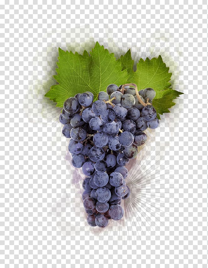 Pinot noir Grape Burgundy wine Winemaking Food, grape transparent background PNG clipart