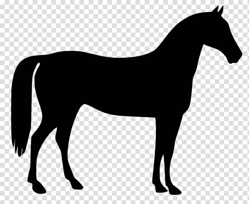 American Quarter Horse Standing Horse Rearing , spirit horse transparent background PNG clipart