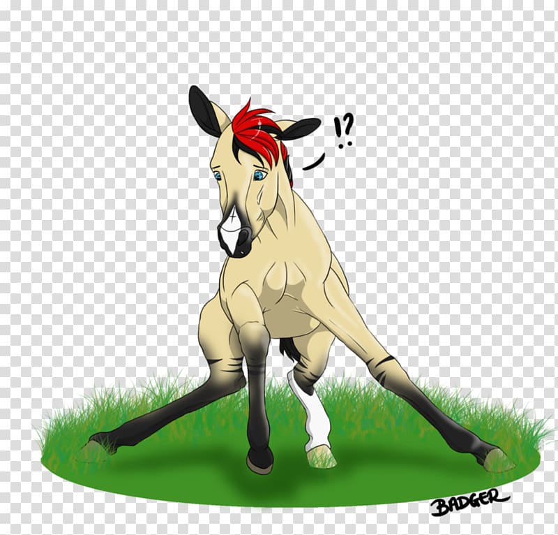 Mustang Donkey Macropods Halter, mustang transparent background PNG clipart