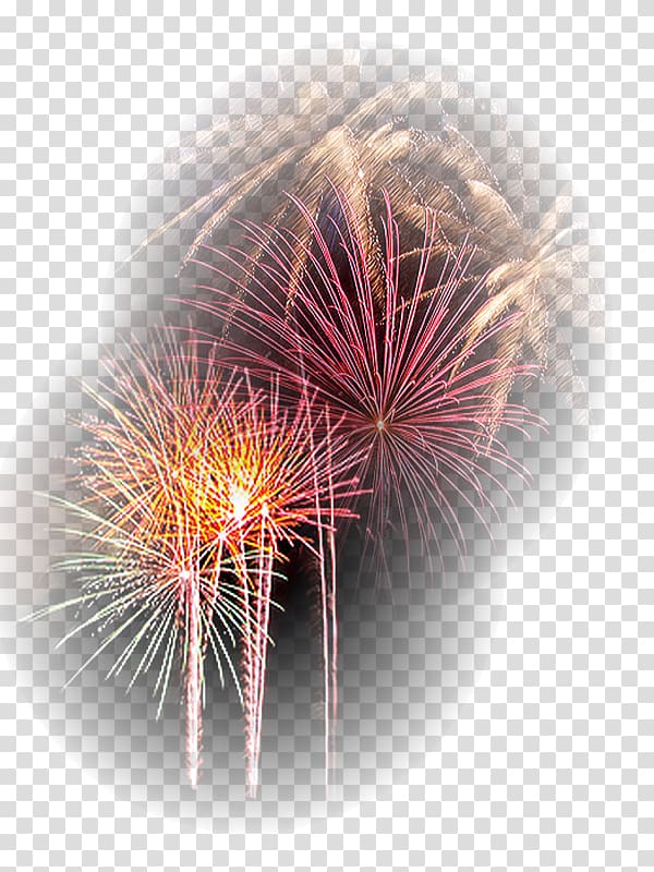 Fireworks Explosive material Desktop Close-up Dandelion, fireworks transparent background PNG clipart