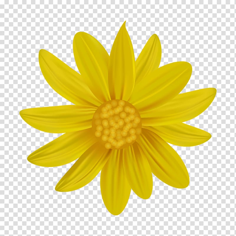 Logo , Yellow daisy design transparent background PNG clipart