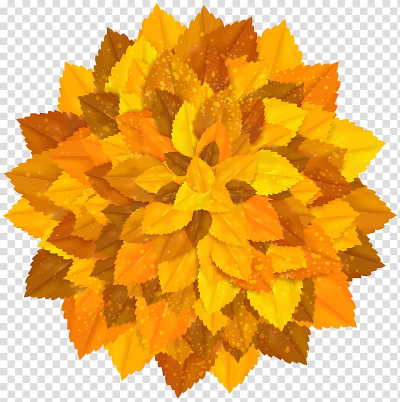 orange floral illustration, Round Decoration with Autumn Leaves transparent background PNG clipart