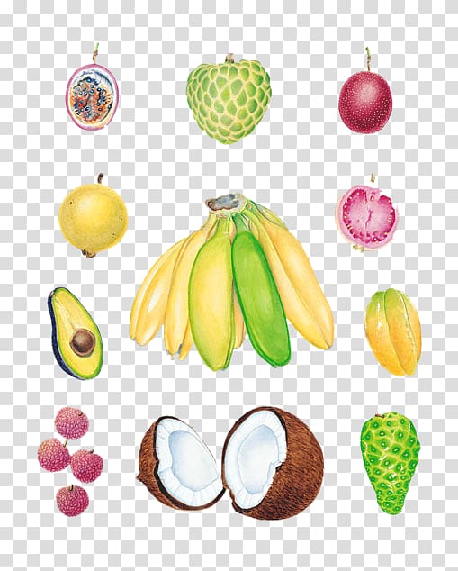 Avocado Tropical fruit Lychee Banana, avocado banana coconut litchi pomegranate transparent background PNG clipart