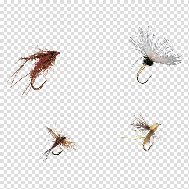 Artificial fly Insect, insect transparent background PNG clipart