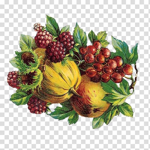 Berry Fruit Auglis Vegetable, Fresh fruit papaya mulberry transparent background PNG clipart