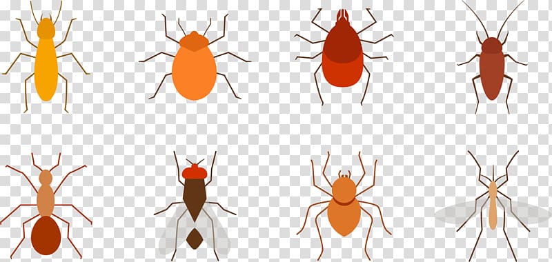 Mosquito Insect Pest, Mosquitoes, pests, flies transparent background PNG clipart