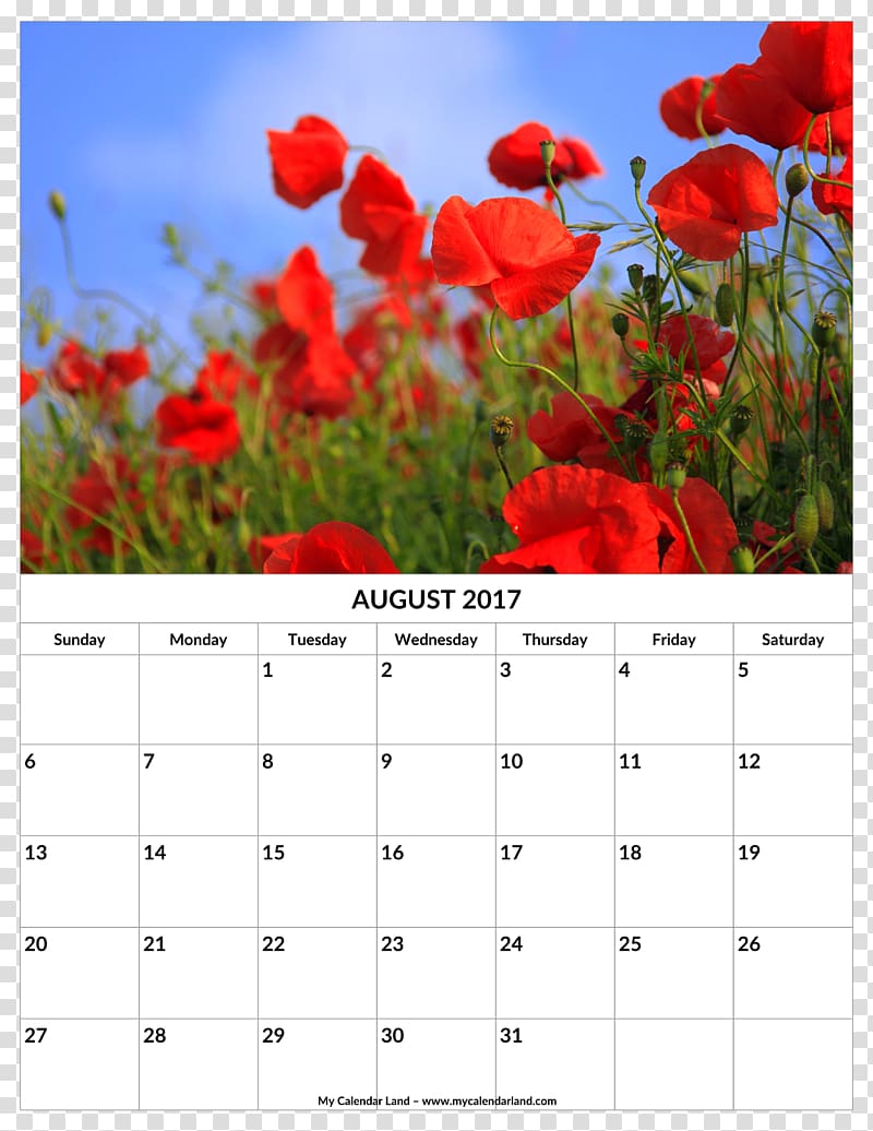 Poppy Calendar Nature 0 1, flower rattan calendar template transparent background PNG clipart