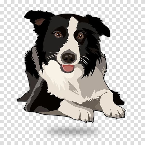 Border Collie Rough Collie Old English Sheepdog Shetland Sheepdog Puppy, Dog Agility transparent background PNG clipart