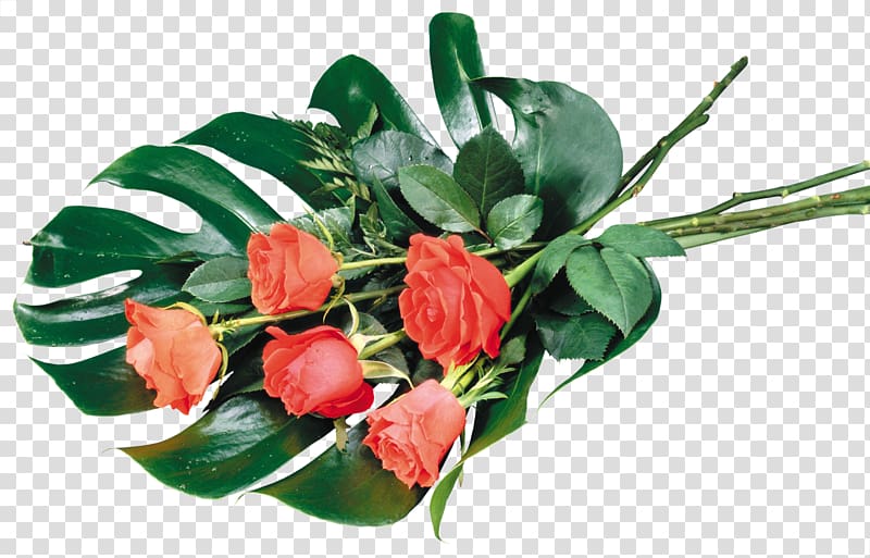 UXGA Rose Desktop 1080p Flower, rose transparent background PNG clipart