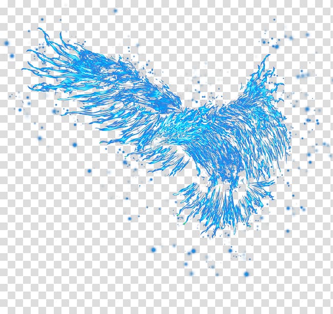 water splash illustration, Text Graphic design Illustration, Eagle transparent background PNG clipart