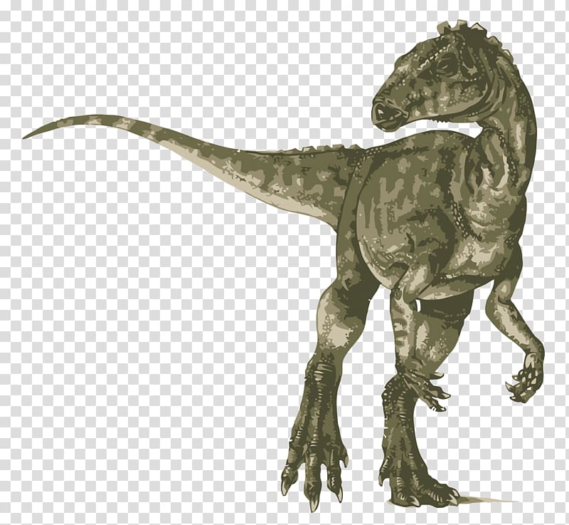 Heterodontosaurus Tyrannosaurus Velociraptor Ankylosaurus Stegosaurus, dinosaur transparent background PNG clipart