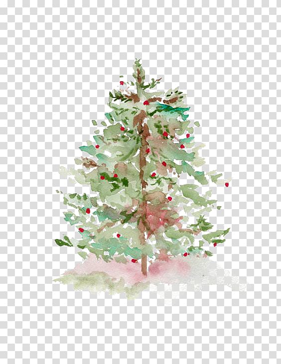 pine transparent background PNG clipart