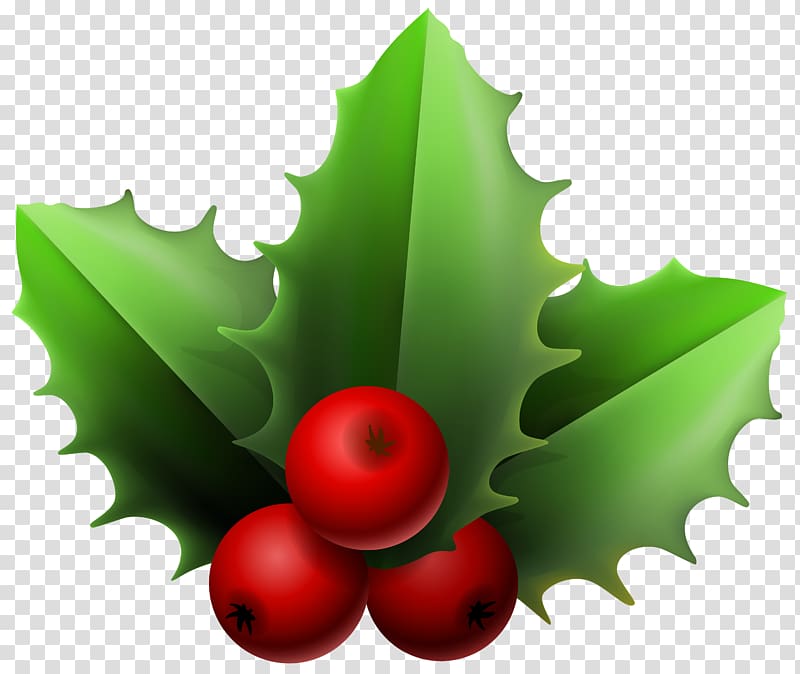 Download Cherries And Leaves Illustration Mistletoe Christmas Mistletoe Transparent Background Png Clipart Hiclipart 3D SVG Files Ideas | SVG, Paper Crafts, SVG File