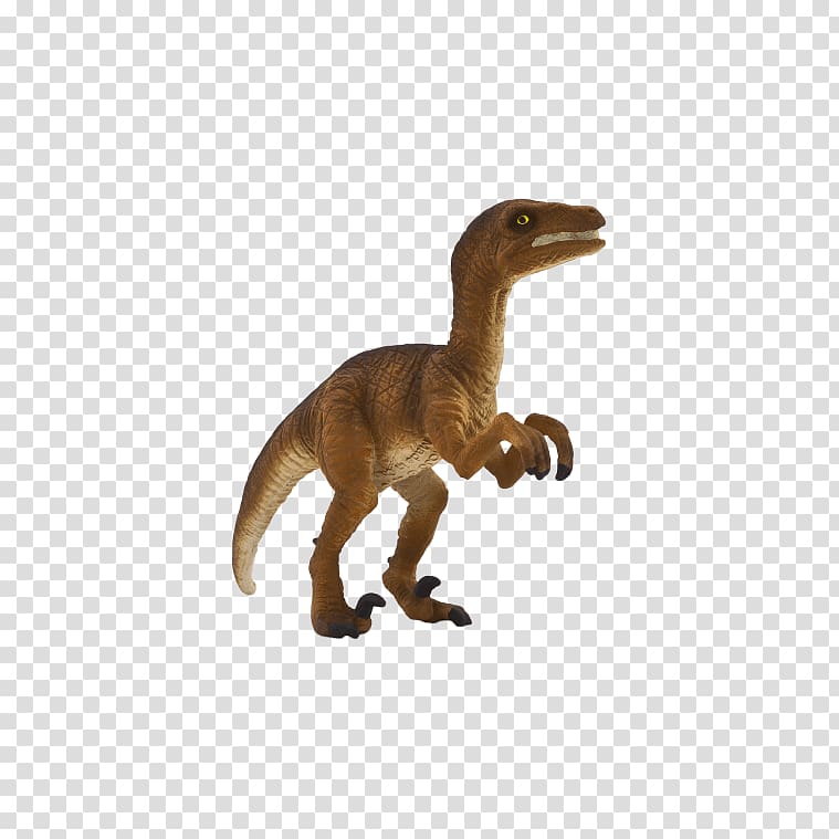 Velociraptor Tyrannosaurus Dinosaur size Allosaurus, dinosaur transparent background PNG clipart