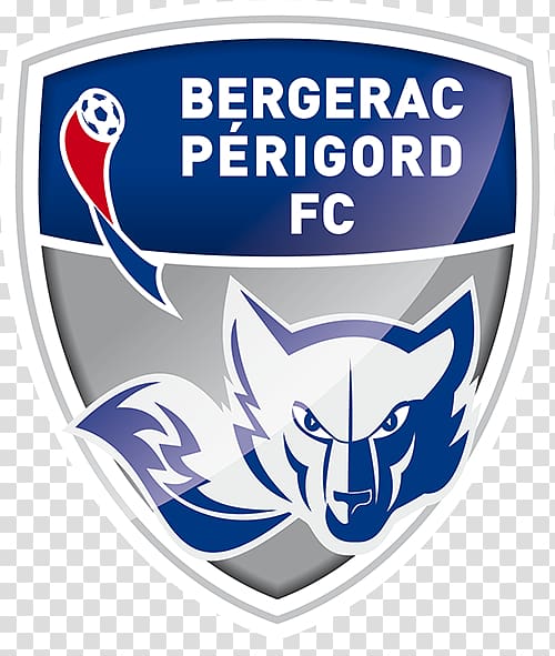 Bergerac Championnat National 2 Football FC Bastia-Borgo Paris FC, football transparent background PNG clipart