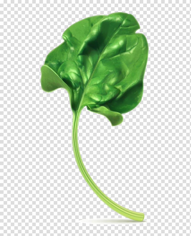 green leaf, Spinach Vegetarian cuisine , spinach leaves transparent background PNG clipart