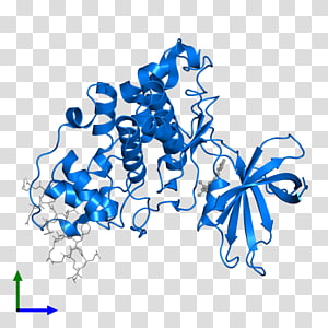 Line Point Organism , line transparent background PNG clipart thumbnail