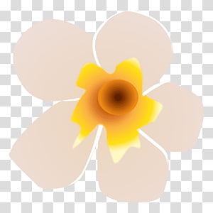 Petal, design transparent background PNG clipart thumbnail
