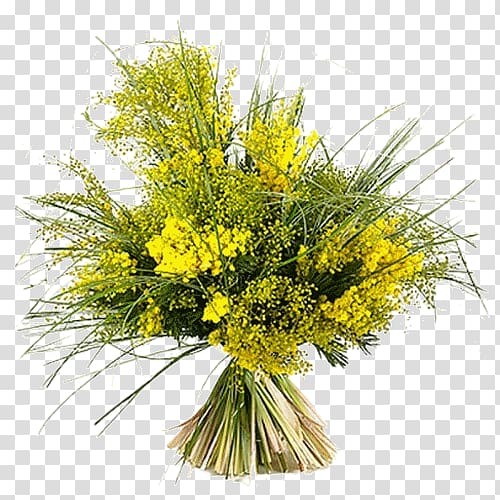 Flower bouquet Acacia dealbata Garden roses International Women\'s Day, mimosa transparent background PNG clipart