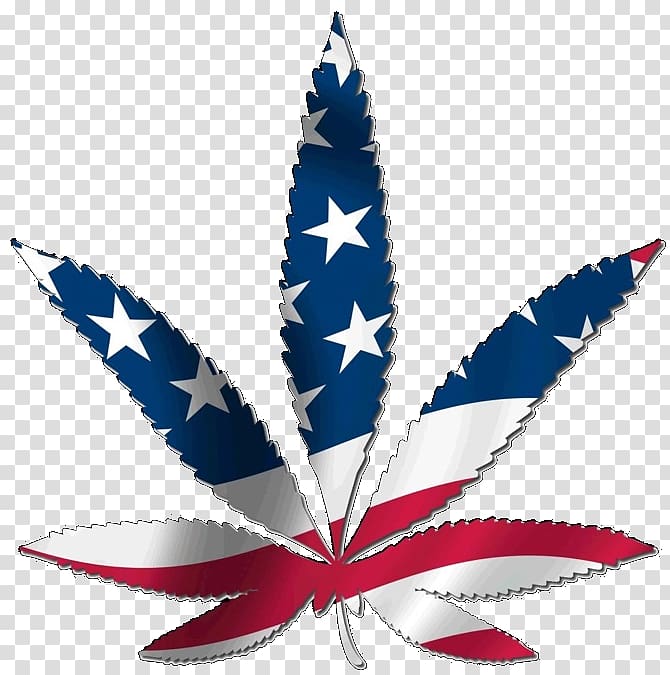 United States Legality of cannabis Medical cannabis Legalization, united states transparent background PNG clipart