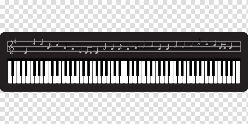 Digital piano Electric piano Nord Electro Player piano Musical keyboard, pianohd transparent background PNG clipart