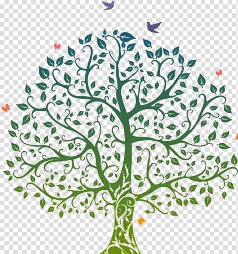 green tree illustration, Genealogy Online Mastering Family, Library & Church Records 2nd Edition Family tree , tree transparent background PNG clipart