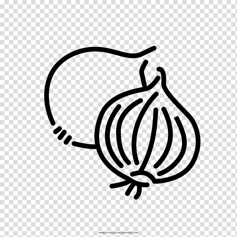 Onion Organic food Vegetable Drawing Vegetarian cuisine, onion transparent background PNG clipart