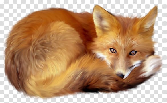 Fox transparent background PNG clipart