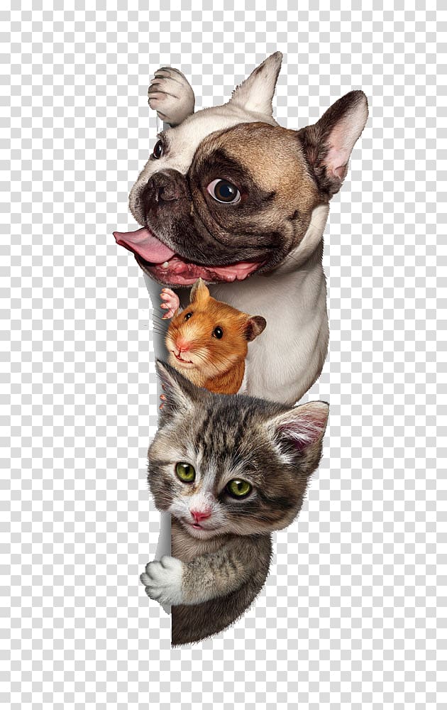 adult French bulldog, brown hamster and brown tabby cat illustration, German Shepherd Cat Pet Hamster Kitten, Three small animals transparent background PNG clipart