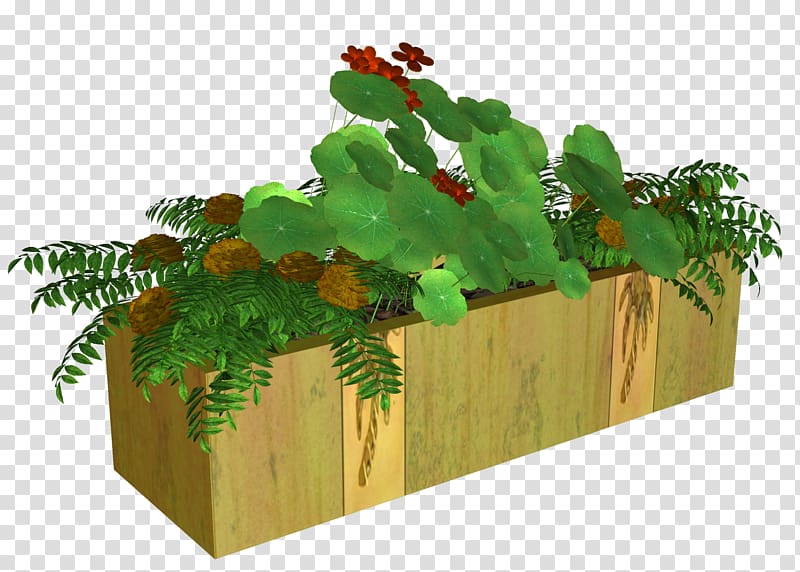 Flowerpot Bonsai, flower bed transparent background PNG clipart