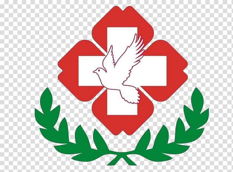 Logo Hospital Icon, Red Cross transparent background PNG clipart