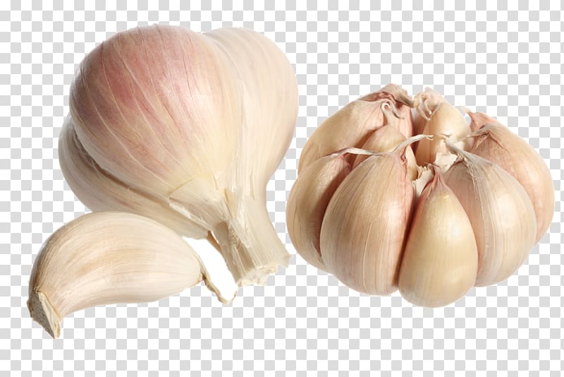Garlic bread Clove Shallot Elephant garlic, garlic transparent background PNG clipart