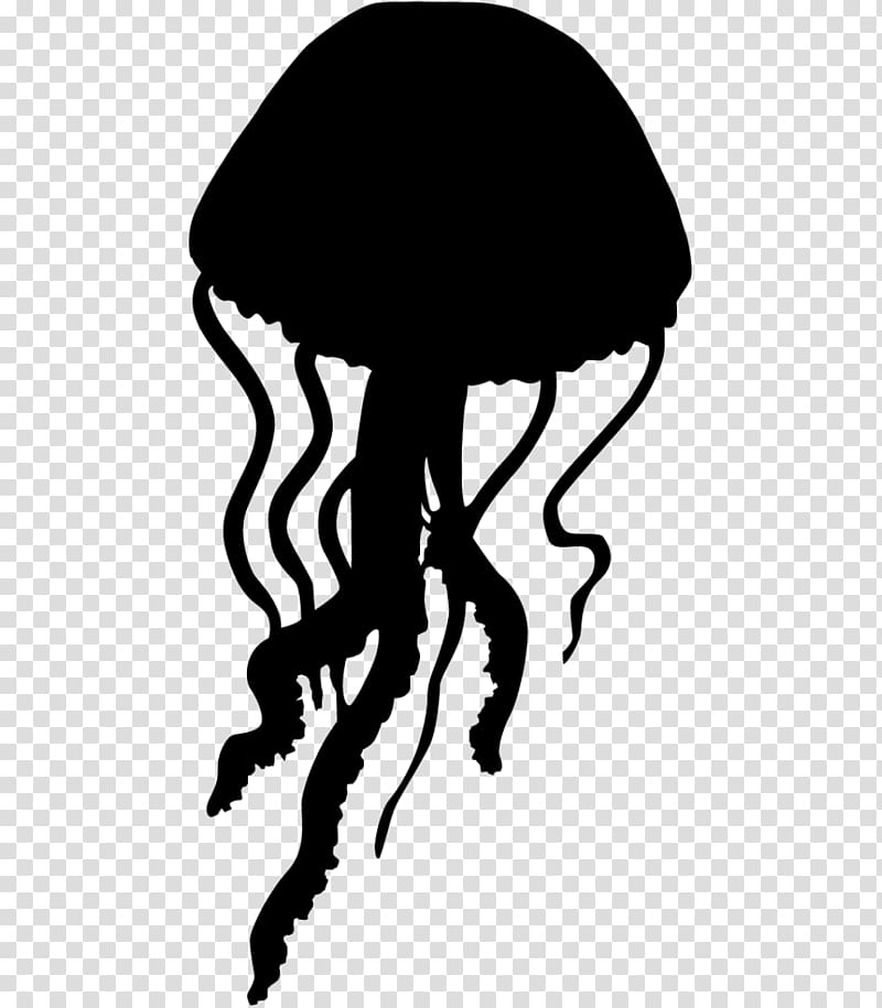Lion's mane jellyfish Stencil Silhouette, Silhouette transparent background PNG clipart