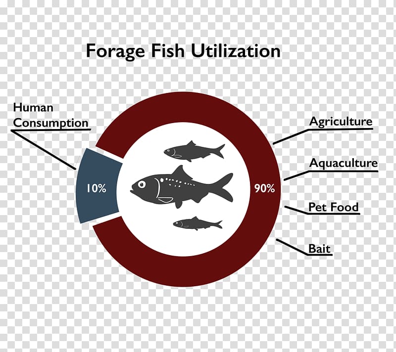 Forage fish Aquaculture Food, others transparent background PNG clipart