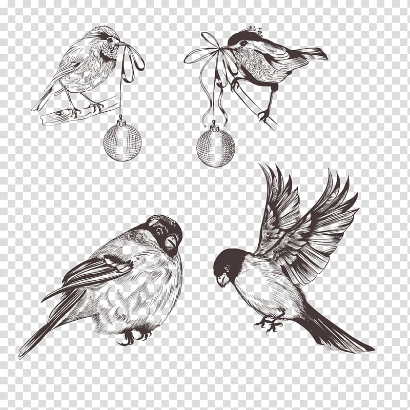 Bird Sparrow Euclidean Feather, Little Sparrow transparent background PNG clipart