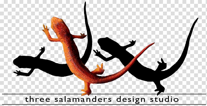 History of graphic design Design studio Salamander, retouching studio transparent background PNG clipart