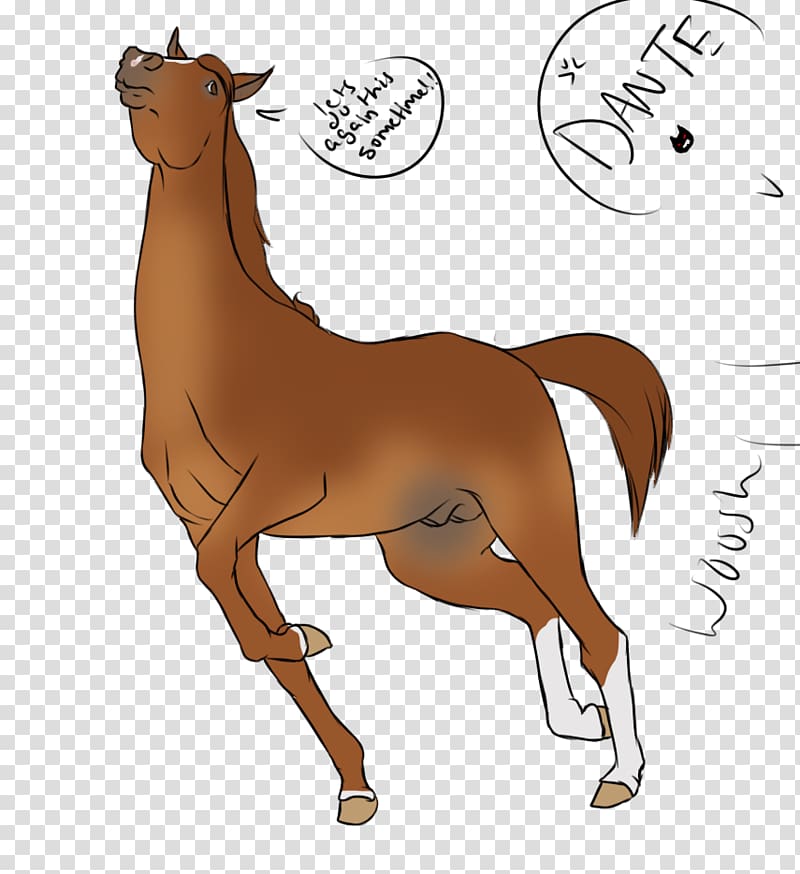 Mustang Foal Stallion Halter Camel, Gotta Blast transparent background PNG clipart