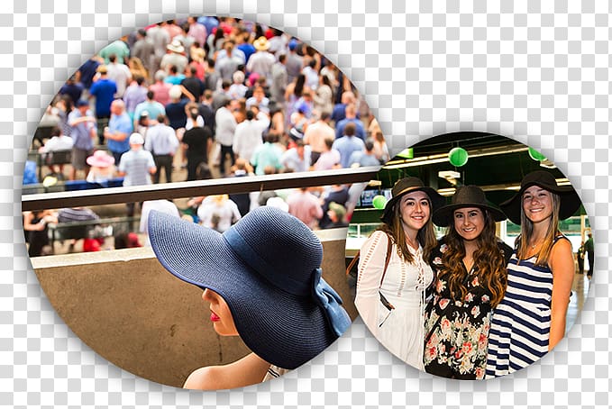 Travel, Belmont Stakes transparent background PNG clipart