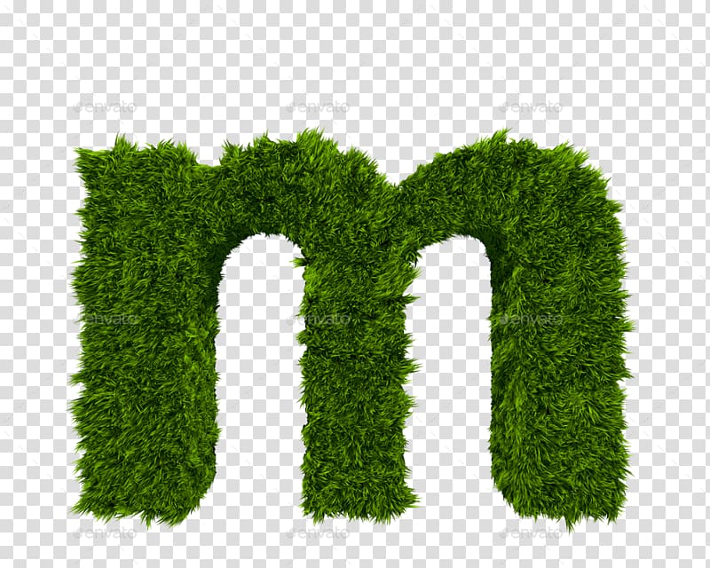 green M plant decor, Letter case M, letter m transparent background PNG clipart