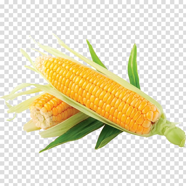 Grits Corn on the cob Maize Sweet corn Baby corn, others transparent background PNG clipart
