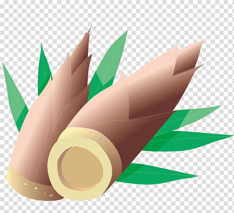Bamboo shoot , material Hand-painted bamboo shoots transparent background PNG clipart