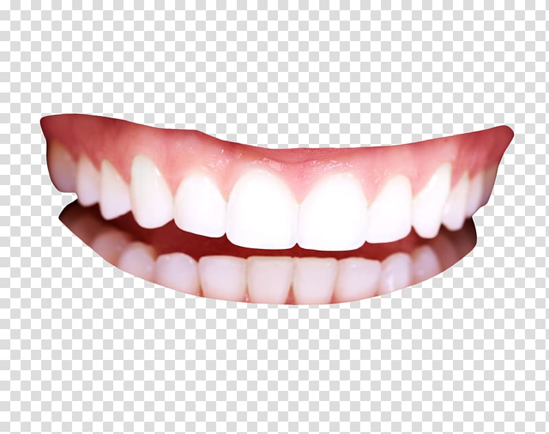 white teeth art, Human tooth, Teeth transparent background PNG clipart