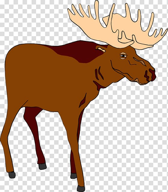 , Moose Winooski's transparent background PNG clipart