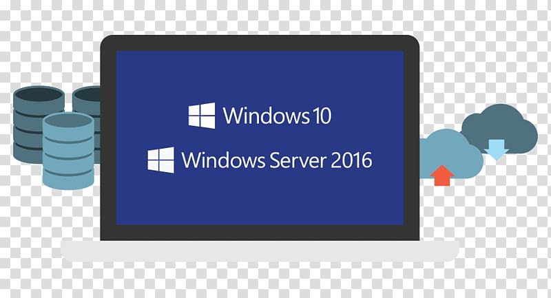 Windows 7 Windows Update Microsoft Windows 10, enterprise slogan, win-win transparent background PNG clipart