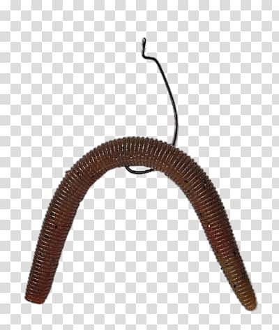 brown earthworm, Plastic Worm Fishing Bait transparent background PNG clipart