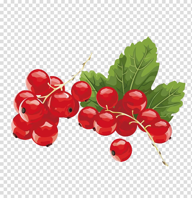 Juice Kissel Redcurrant Blackcurrant Berry, Cherry transparent background PNG clipart