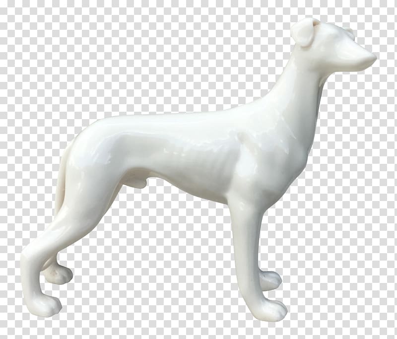 Whippet Italian Greyhound Spanish greyhound Polish greyhound, greyhound transparent background PNG clipart