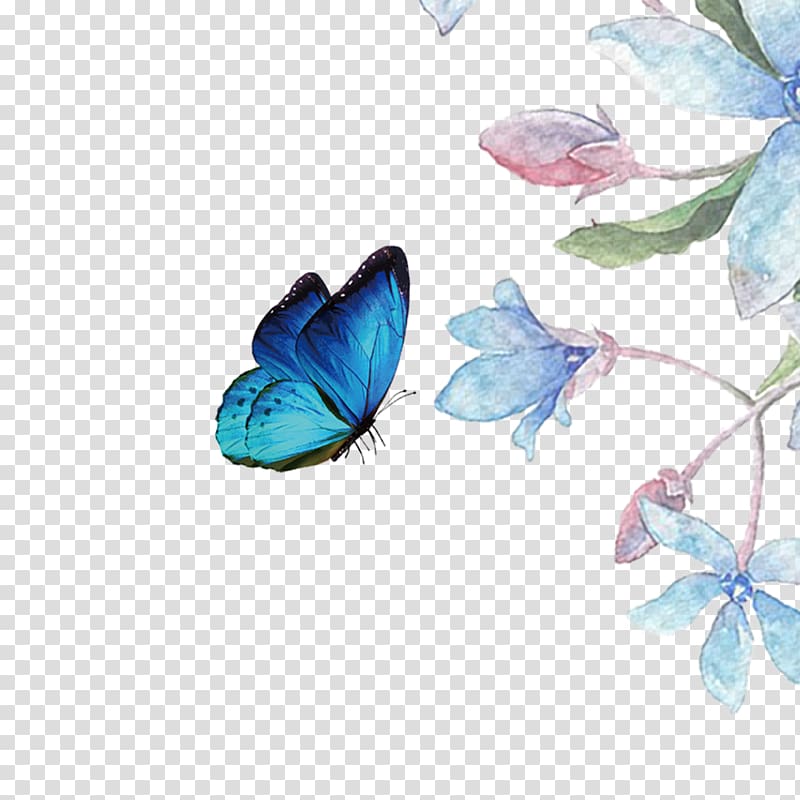 blue morpho butterfly hovering in front of blue petaled flower illustration, Butterfly Computer file, Beautiful flowers transparent background PNG clipart
