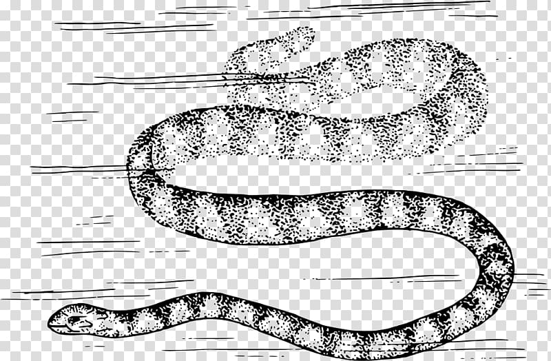 Rattlesnake Boa constrictor Kingsnakes Vipers, snake transparent background PNG clipart