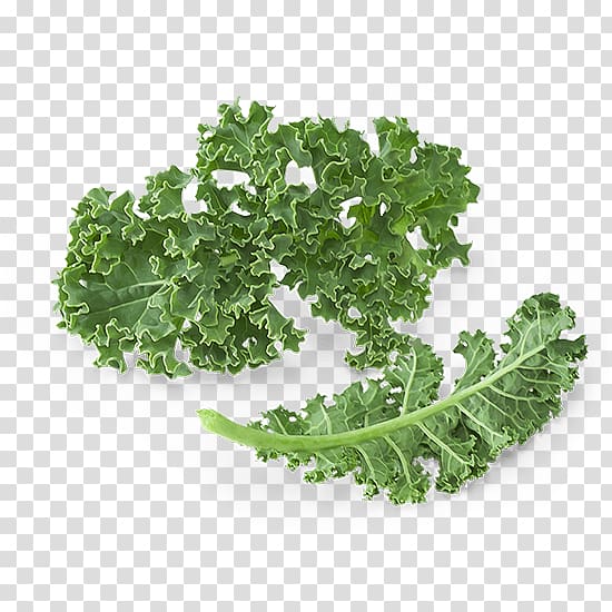 Smoothie Juice Kale Leaf vegetable Food, kale transparent background PNG clipart